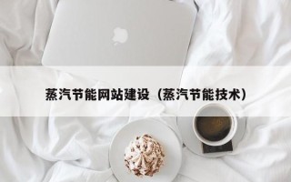 海西蒸汽节能网站建设（蒸汽节能技术）
